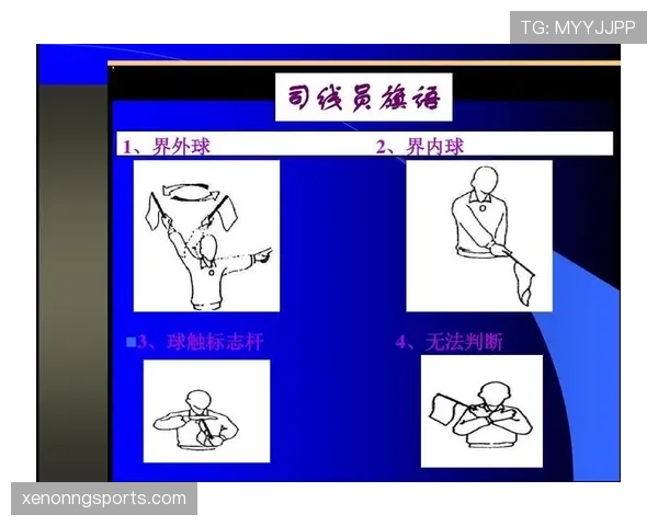 界外球判定规则详解:裁判如何判断球完全出界标准 界外球判定规则详解:裁判如何判断球完全出界标准